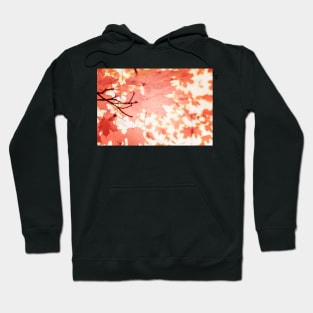 Soft light red maple leaves in autumn season Hoodie